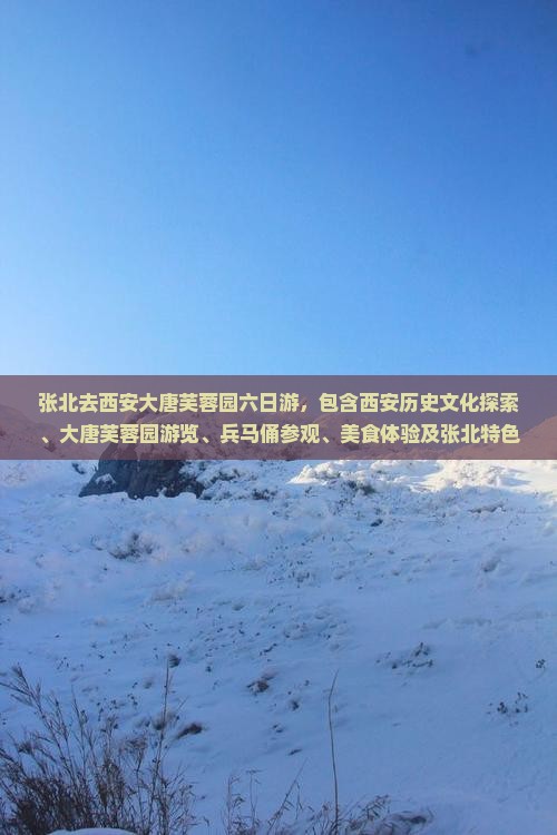 张北去西安大唐芙蓉园六日游