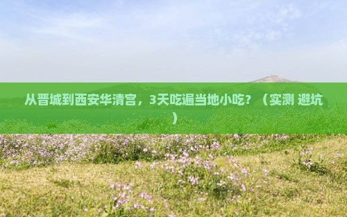 晋城到西安华清宫旅游小吃