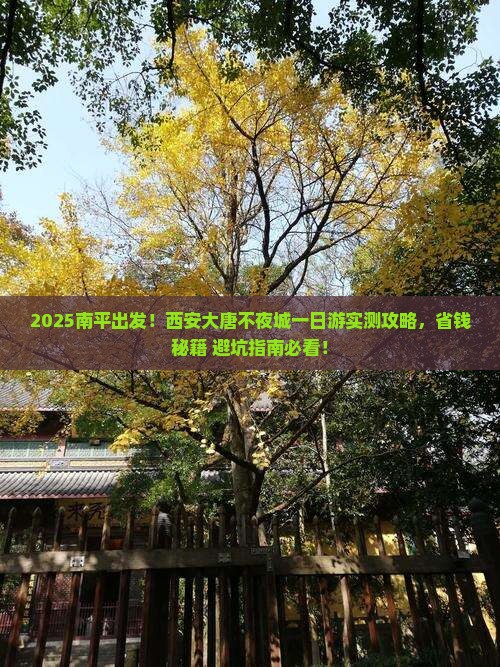 南平到西安大唐不夜城一日游
