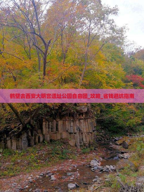 鹤壁去西安大明宫国家遗址公园自由团