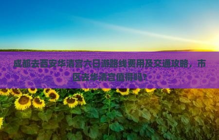成都去西安华清宫六日游
