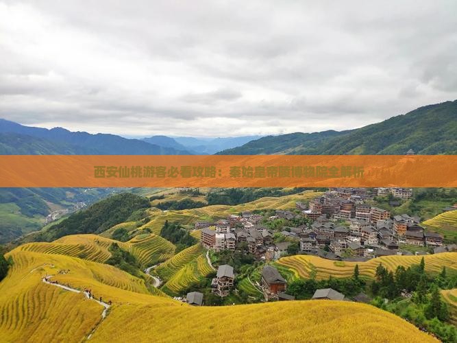 仙桃去西安秦始皇帝陵博物院必去地