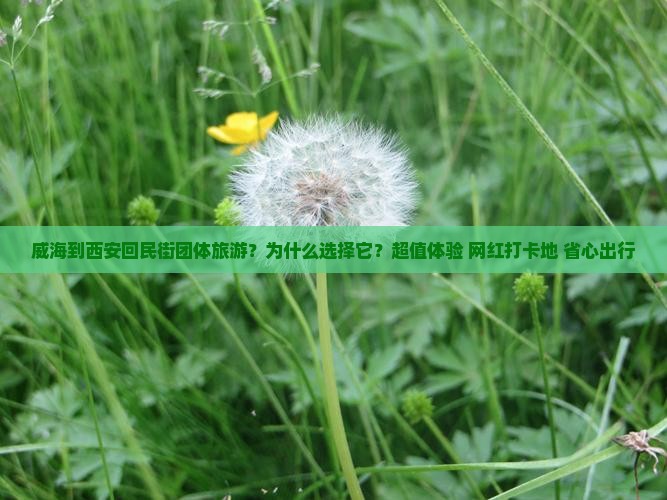 威海到西安回民街团体旅游