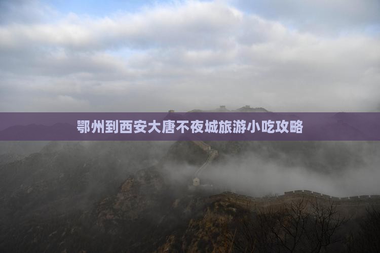 鄂州到西安大唐不夜城旅游小吃