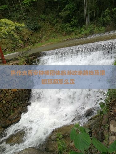 焦作去西安钟楼团体旅游