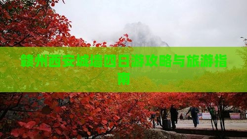赣州去西安城墙四日游