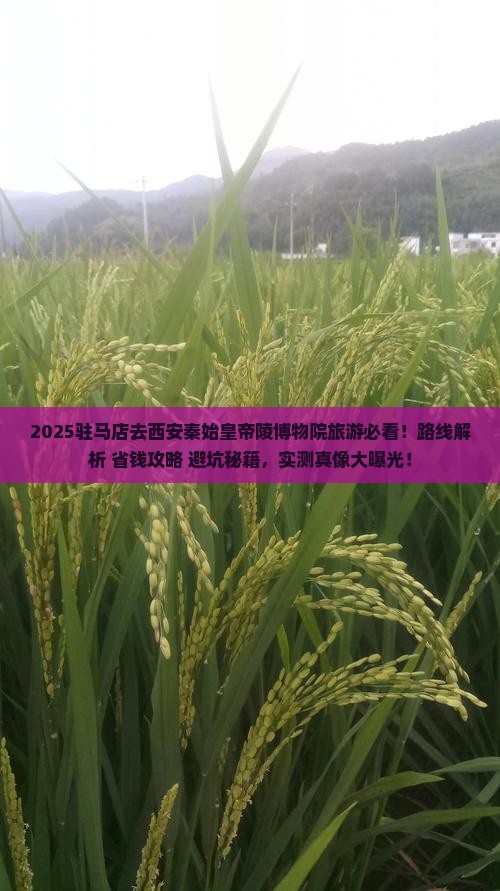 驻马店去西安秦始皇帝陵博物院旅游