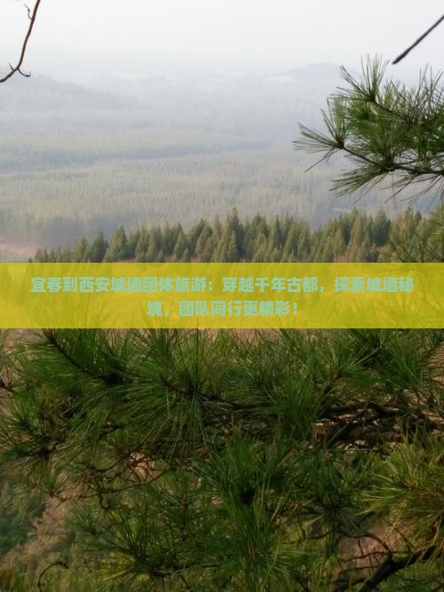 宜春到西安城墙团体旅游
