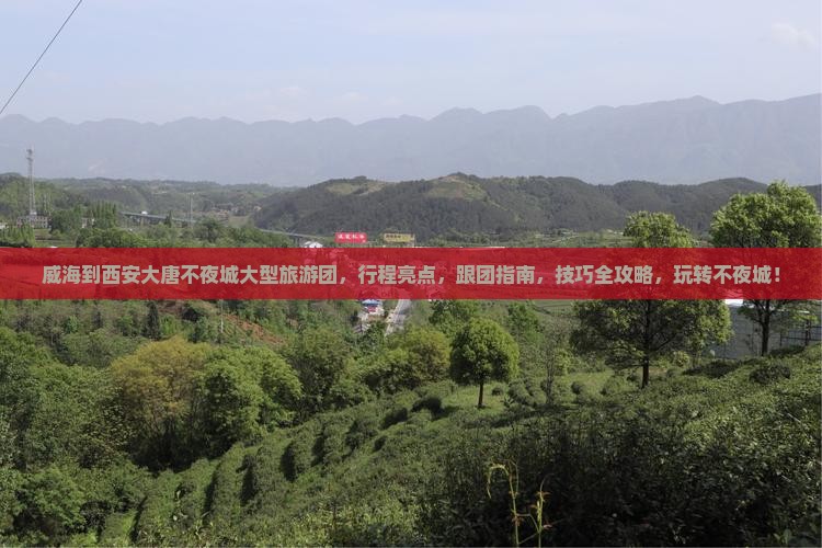 威海到西安大唐不夜城大型旅游团