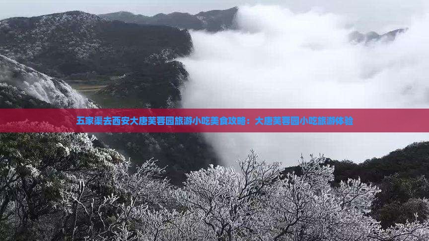五家渠去西安大唐芙蓉园旅游小吃