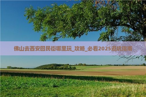 佛山去西安回民街哪里玩