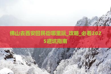 佛山去西安回民街哪里玩