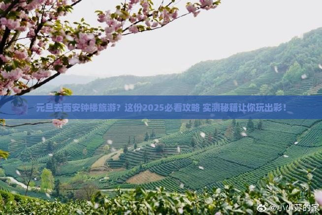 元旦到西安钟楼旅游