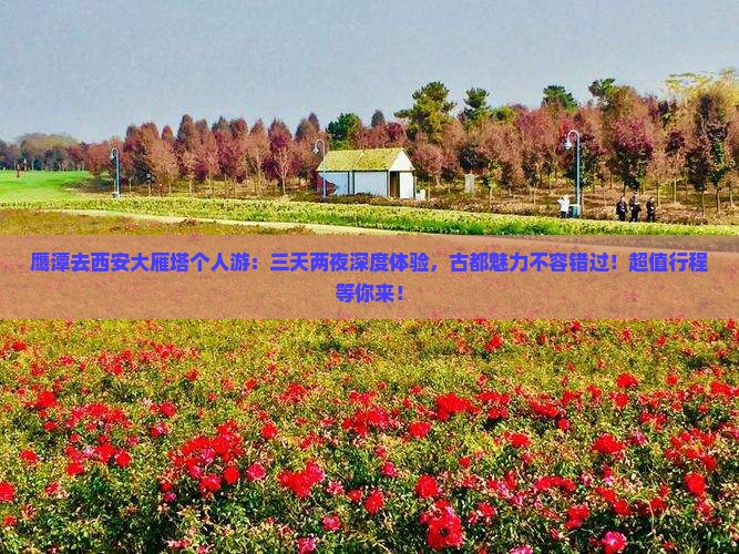 鹰潭去西安大雁塔个人游