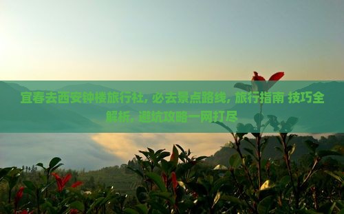 宜春去西安钟楼旅行社