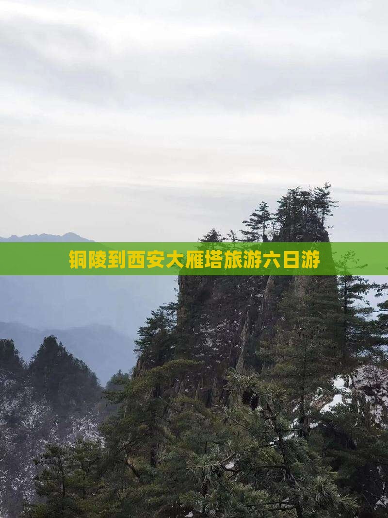 铜陵到西安大雁塔六日游