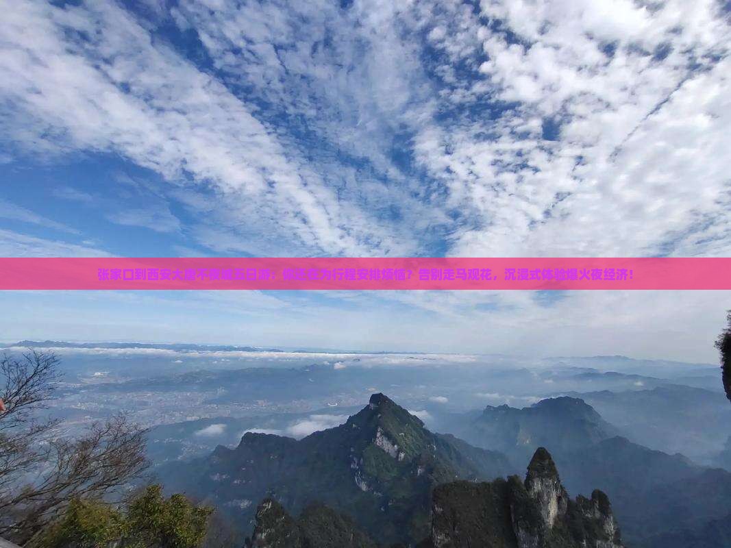 张家口到西安大唐不夜城五日游