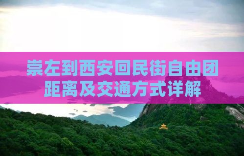 崇左到西安回民街自由团距离及交通方式详解