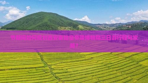 节期间如何规划西安秦始皇帝陵博物院三日游行程与攻略？