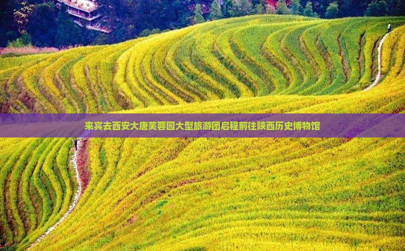 来宾去西安大唐芙蓉园大型旅游团启程前往陕西历史博物馆