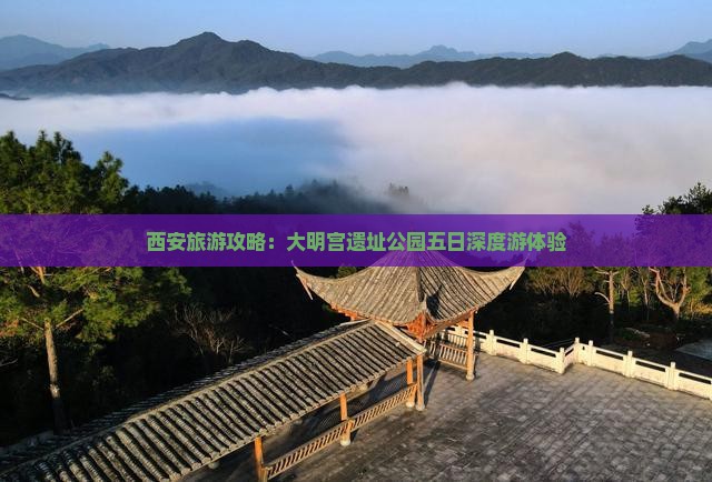 西安旅游攻略：大明宫遗址公园五日深度游体验