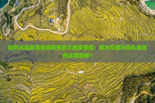 如何从临夏高效游历西安大唐芙蓉园：解决交通与排队难题的实用攻略？