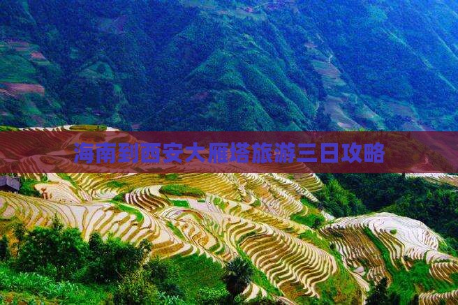 海南到西安大雁塔旅游三日攻略