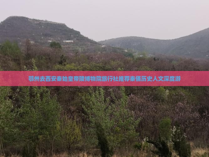 鄂州去西安秦始皇帝陵博物院旅行社推荐秦俑历史人文深度游