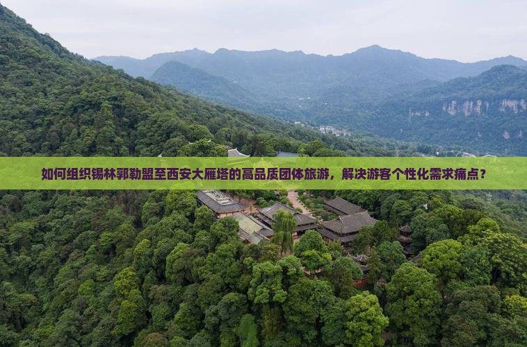 如何组织锡林郭勒盟至西安大雁塔的高品质团体旅游，解决游客个性化需求痛点？