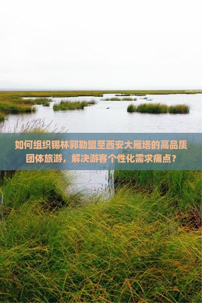 如何组织锡林郭勒盟至西安大雁塔的高品质团体旅游，解决游客个性化需求痛点？