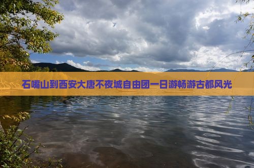 石嘴山到西安大唐不夜城自由团一日游畅游古都风光
