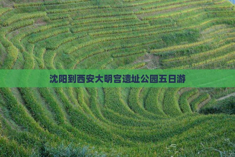 沈阳到西安大明宫遗址公园五日游