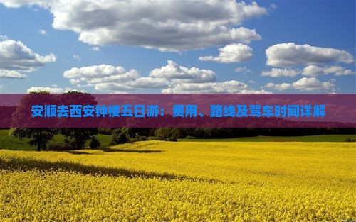 安顺去西安钟楼五日游：费用、路线及驾车时间详解