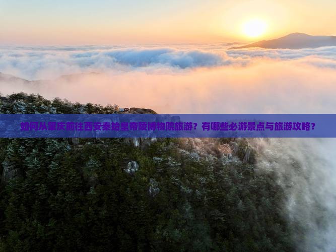 如何从肇庆前往西安秦始皇帝陵博物院旅游？有哪些必游景点与旅游攻略？
