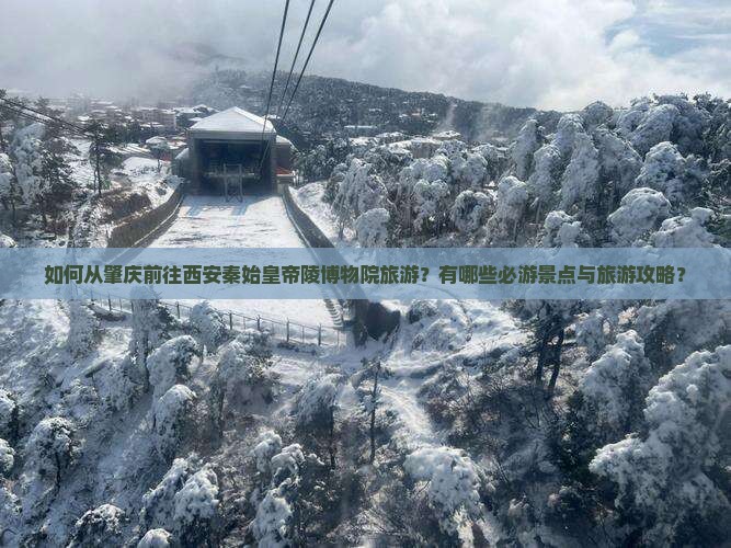 如何从肇庆前往西安秦始皇帝陵博物院旅游？有哪些必游景点与旅游攻略？