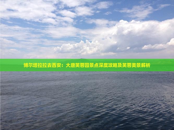 博尔塔拉拉去西安：大唐芙蓉园景点深度攻略及芙蓉美景解析