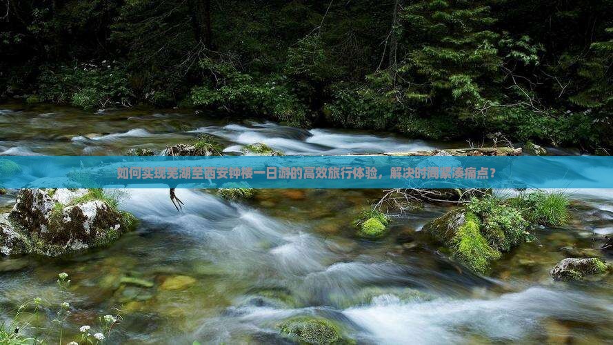 如何实现芜湖至西安钟楼一日游的高效旅行体验，解决时间紧凑痛点？