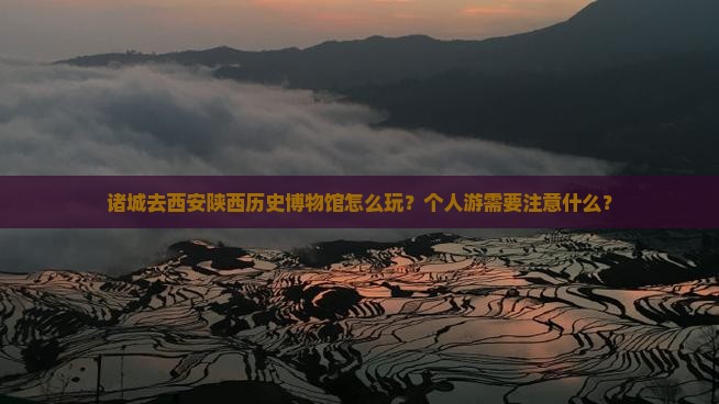 诸城去西安陕西历史博物馆怎么玩？个人游需要注意什么？