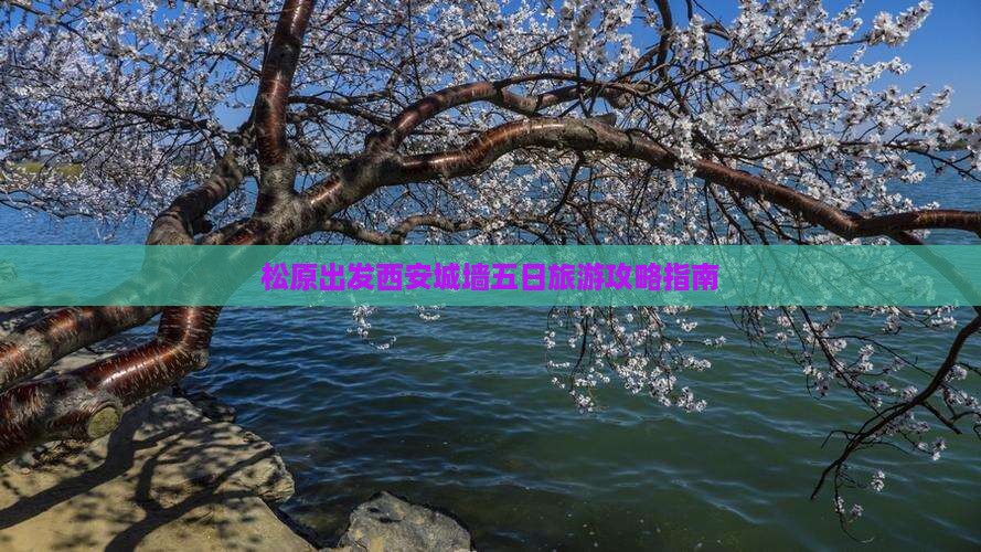 松原出发西安城墙五日旅游攻略指南