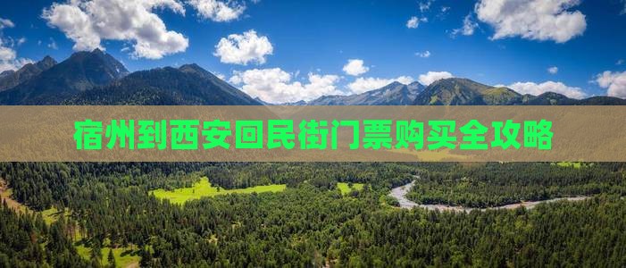 宿州到西安回民街门票购买全攻略