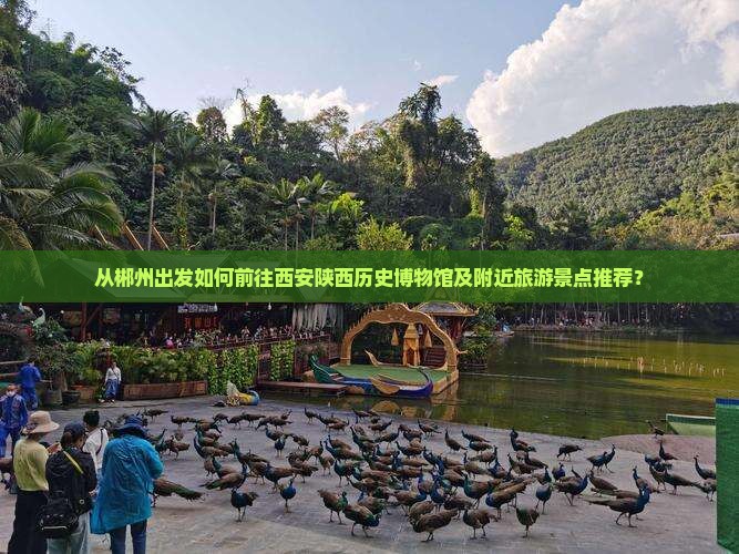 从郴州出发如何前往西安陕西历史博物馆及附近旅游景点推荐？