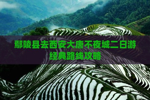鄢陵县去西安大唐不夜城二日游经典路线攻略