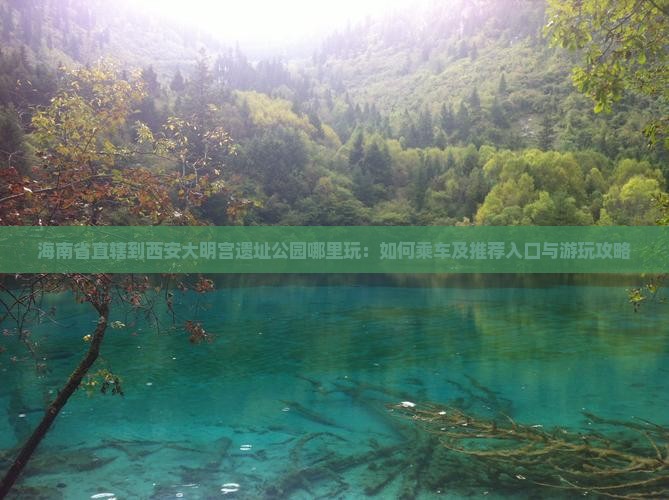 海南省直辖到西安大明宫遗址公园哪里玩：如何乘车及推荐入口与游玩攻略