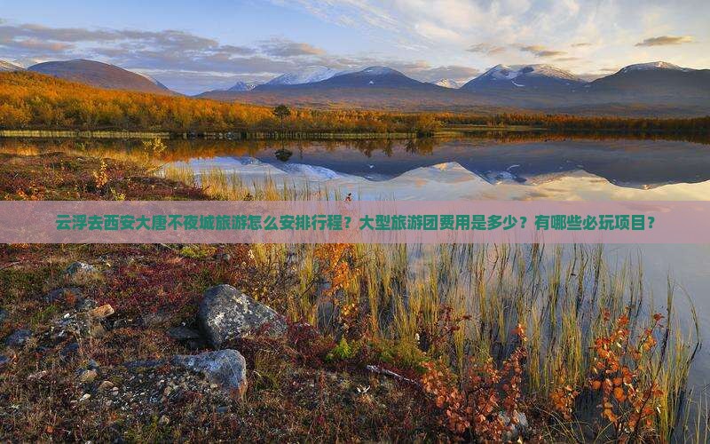 云浮去西安大唐不夜城旅游怎么安排行程？大型旅游团费用是多少？有哪些必玩项目？