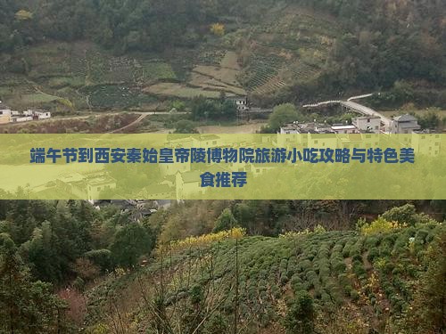端午节到西安秦始皇帝陵博物院旅游小吃攻略与特色美食推荐