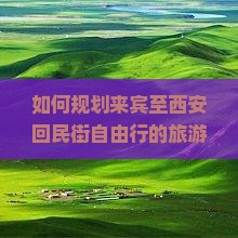 如何规划来宾至西安回民街自由行的旅游行程与攻略？