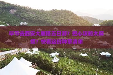 毕节去西安大雁塔五日游？担心攻略太麻烦？快看这份种草清单