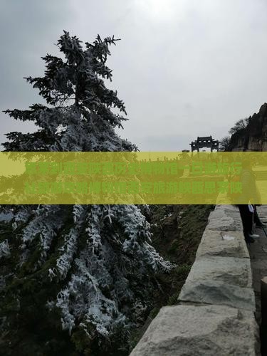 思茅到西安陕西历史博物馆一日游旅行社旅游攻略博物馆西安旅游陕西思茅陕西历史博物馆一日游旅行