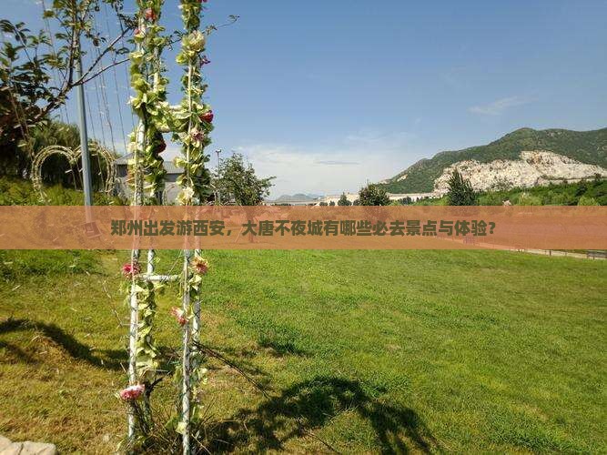 郑州出发游西安，大唐不夜城有哪些必去景点与体验？