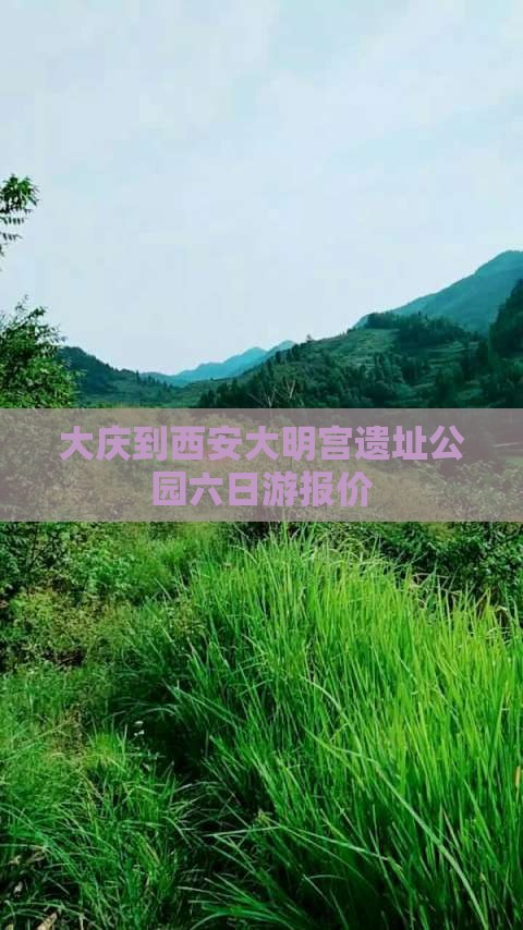 大庆到西安大明宫遗址公园六日游报价